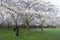 Two friends taking wefie picture at Japanese flowers blossom park