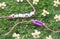 Two friendship bracelet on grass