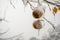 Two frozen chestnut shells in Winter, hanging from a tree branch, covered in large icicle caps. Winter scene after days with rain