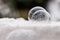 Two frozen soap bubbles freezing of low temperature under zero on snow