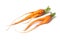 two funny carrots on white background