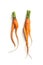 Two funny carrots on white background