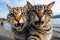 Two funny cats take a selfie on the beach. Humor. Created using artificial intelligence.