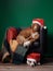 Two funny dogs in Christmas hats. Holiday pets. Jack Russell and Nova Scotia Duck Tolling Retriever