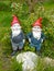 Two funny garden gnomes