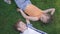 Two funny kids lying on the grass in the park smiling to each other. The girl taking hand of the boy. A couple of happy