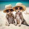 Two funny meerkats in straw hats and sunglasses are relaxing on a sandy sea beach