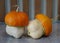 Two funny pumpkins lie on the table
