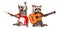 Two funny raccoons with guitars