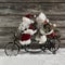 Two funny santa claus on a tandem in hurry for christmas shopping.