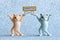 Two funny toy kittens are holding a sign that says armistice. Silver background