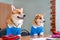 Two funny Welsh corgi Pembroke or cardigan in school uniform are sitting in college, stationery, notebooks and backpacks