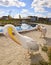 Two funny white Pelicans near pool