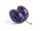 Two fused purple plums, on a white background