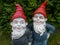 Two garden dwarfs with red hats