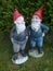 Two garden dwarfs with red hats in front of a green hedge