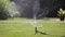 Two garden sprinklers watering grass