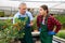 Two gardeners discussing how to care for arbustus unedo flowers