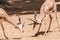 Two gazelles are fighting on the sand