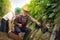 Two generation of wine grower harvesting grape