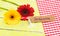 Two gerbera flowers and greeting card with german word, Dankeschoen, means thanks