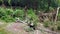 Two Giant pandas eating bamboo leaves