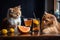 Two ginger cats sitting behind a table and drinking cocktails with citrus fruits. Created with Generative AI