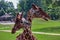 Two giraffe heads in czech zoo