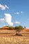 Two giraffes  Giraffa Camelopardalis standing on the horizon, Kalahari desert, Namibia.