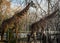 Two Giraffes roaming around at a sanctuary that will preserve them