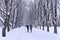 Two girlfriends have conversation in winter park during snowfall