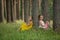 Two girlfriends posing sitting in the pine forest.