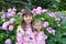 Two girls against the background of the blossoming hydrangea