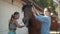 Two girls brushing a horse on animal farm.