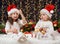 Two girls in christmas decoration with gift, dark background with illumination and boke lights, winter holiday concept