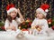 Two girls in christmas decoration with gift, dark background wit