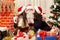 The two girls in Christmas hats kissing Santa Claus in the new y