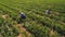 Two girls gathering strawberries at the plantation