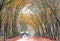 Two girls in long dress to cover umbrella holding hands, going end of road in rubber forest