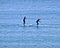 Two girls in the middle of the competition, paddling in the Olympic port of Barcelona as if they were on the high seas.