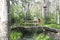 Two girls over a wooden bridge over a stream