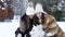 Two girls playing with white husky dog in snow . Slow motion