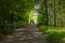 Two girls with a pram are walking along a green dark alley on a sunny summer day