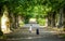 Two girls run and play in the shadow of a beautiful avenue