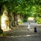 Two girls run and play in the shadow of a beautiful avenue