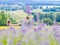 Two girls sister sit between lavender fields in Provence. Violet lavender fields blooming in summer sunlight. Sea of Lilac Flowers