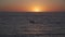 Two girls sit on sup board in the quiet Mediterranean sea at sunset in the city of Paphos in Cyprus. Silhouettes of 2