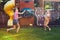 Two girls splashing each other with gardening house on backyard on summer day