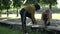 two girls in squat hoods adjusting their shoelaces as they get ready before exercising