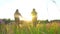 Two girls are walking holding hands at sunset,the sun,the symbol of LGBT people